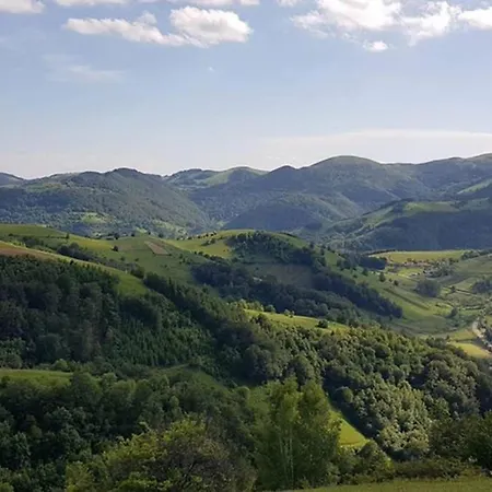 Suncani Apartman Lavanda